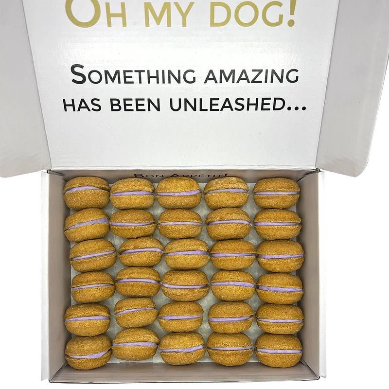40 Count Dog Macaron Treats Gift Box - Dharma’s Emporium | Meditation Cushions & Zen Pet Essentials