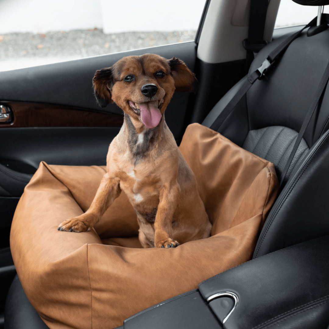A soft, grounding pet bed for the car — essential zen pet gear designed for a peaceful journey and intentional travel with your companion.